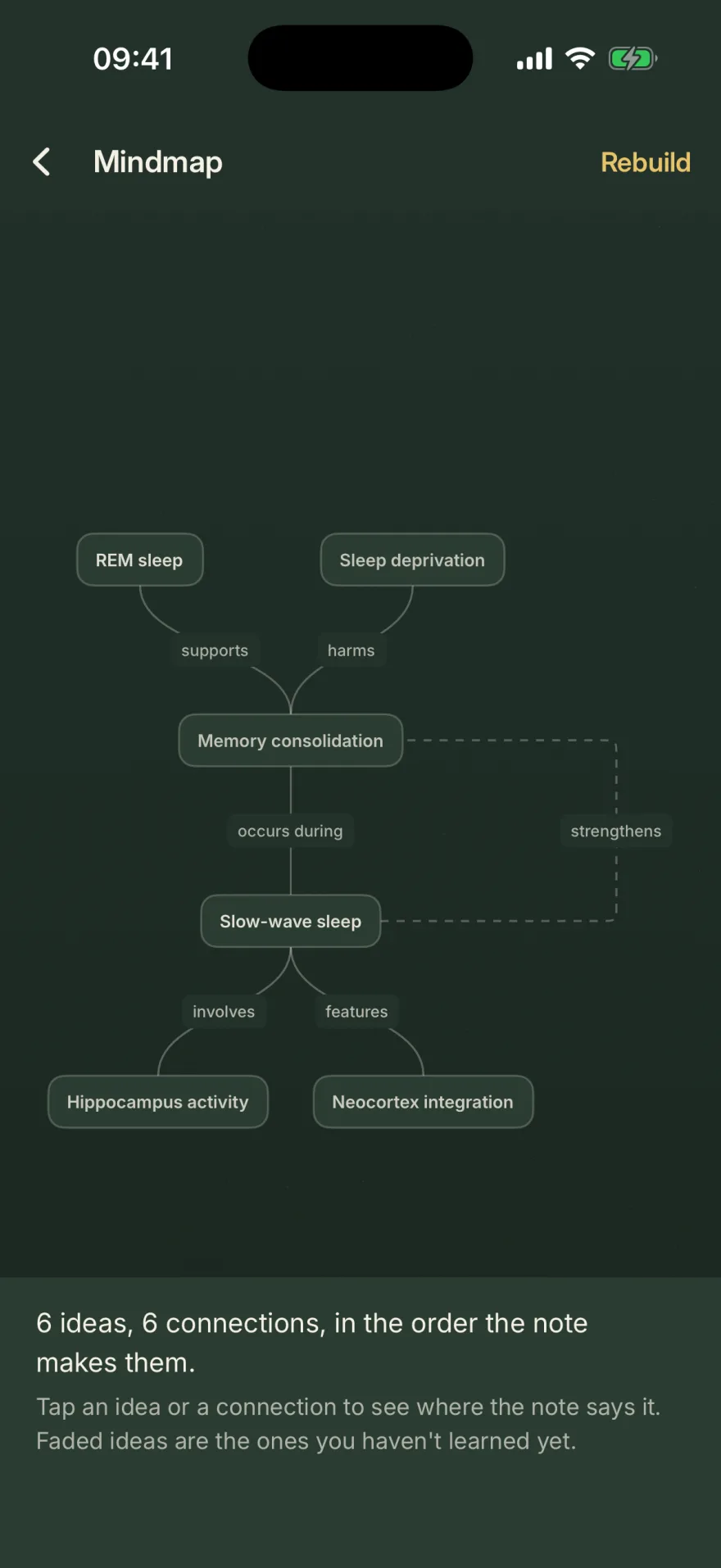 A note's mindmap on the blackboard: six chalk plates joined by labelled connections. REM sleep supports memory consolidation, sleep deprivation harms it, memory consolidation occurs during slow-wave sleep, and slow-wave sleep involves hippocampus activity and features neocortex integration — with a dashed line looping back from slow-wave sleep to REM sleep, labelled strengthens.