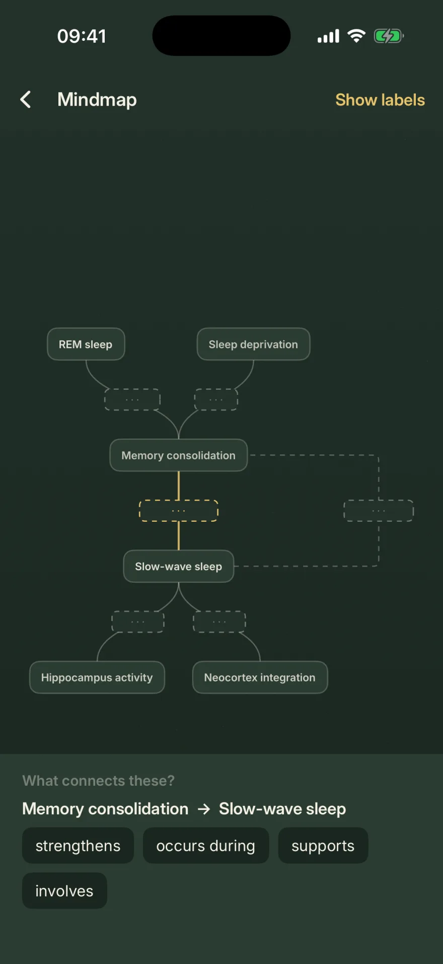 The same map with every label blanked out and one connection picked. A panel asks What connects these? Memory consolidation to Slow-wave sleep, offering four words: strengthens, occurs during, supports, involves.
